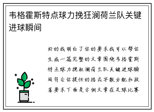 韦格霍斯特点球力挽狂澜荷兰队关键进球瞬间